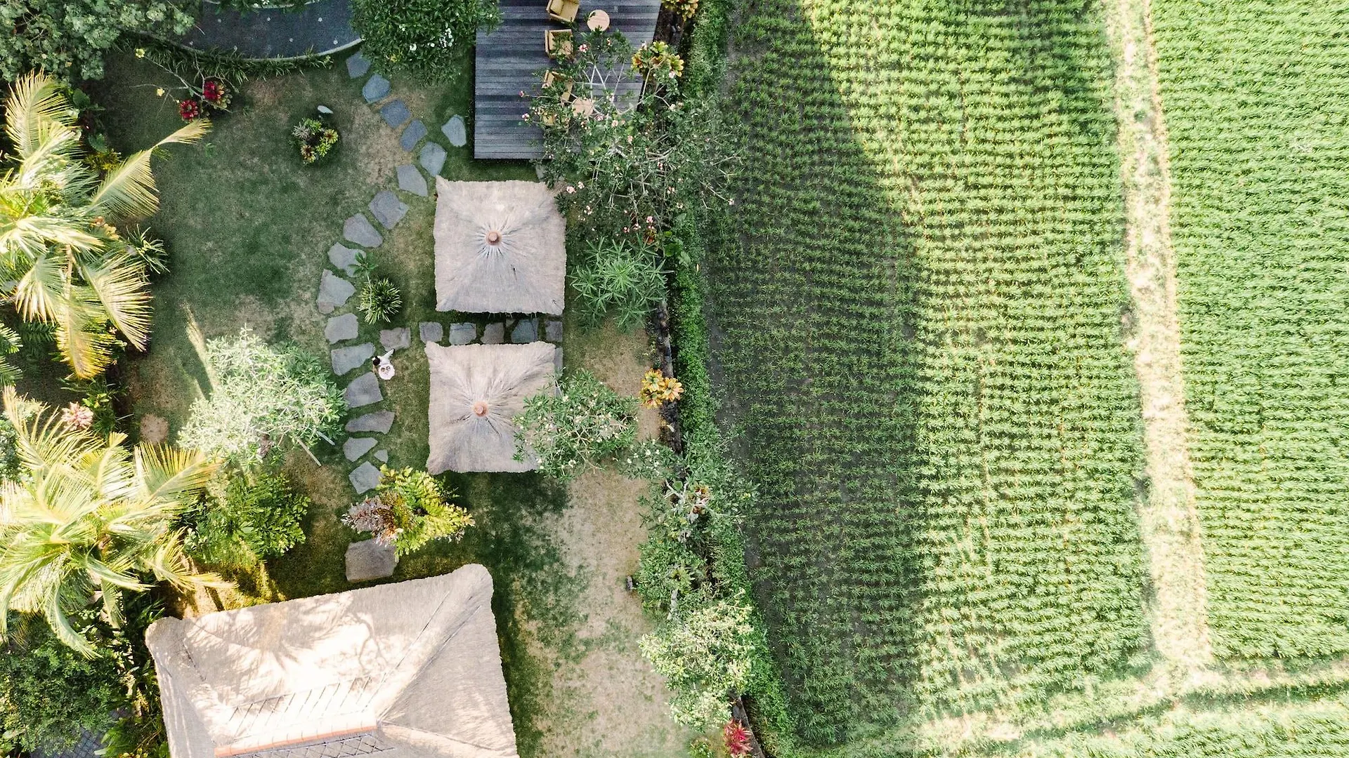 Byasa Ubud 3*,