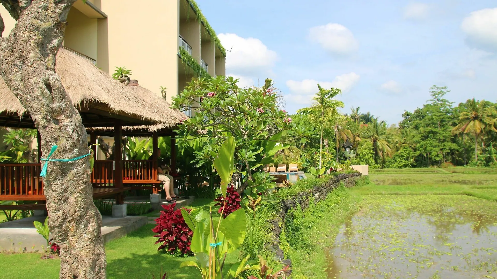 Affittacamere Byasa Ubud