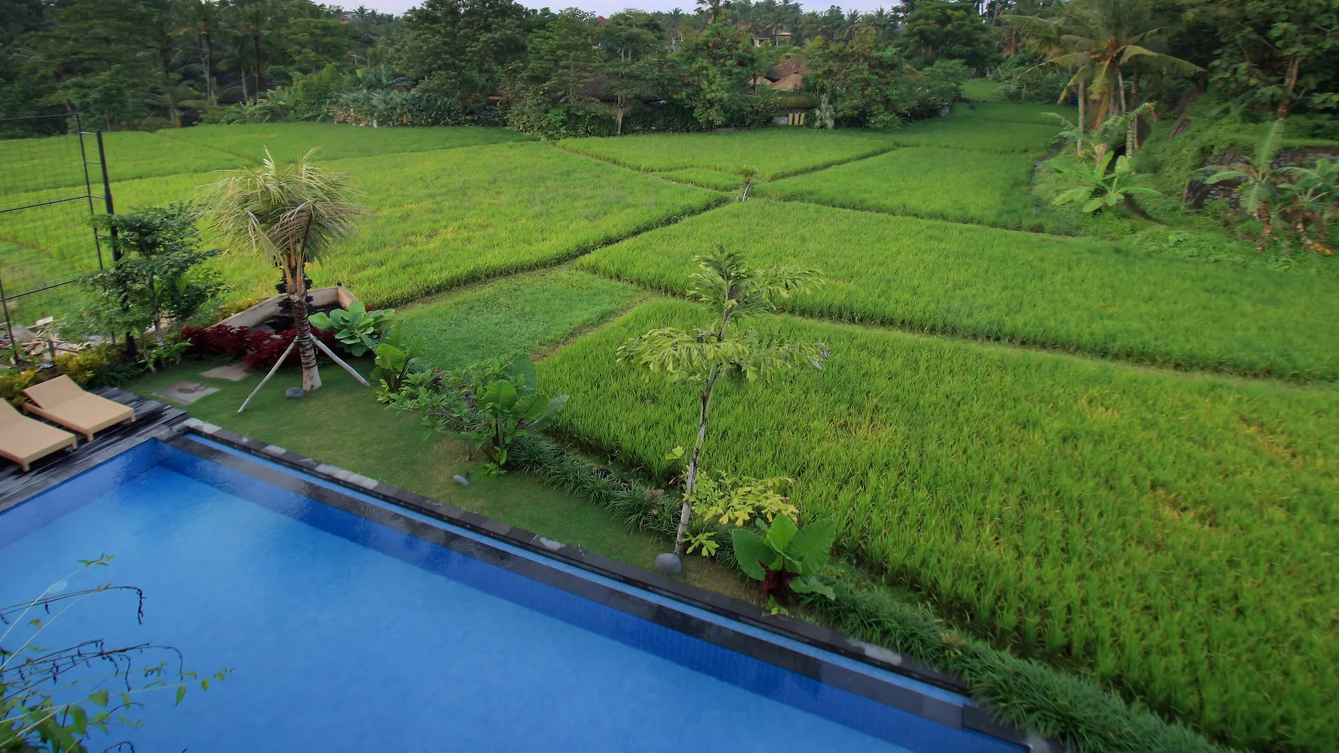 Byasa Ubud Pensionat