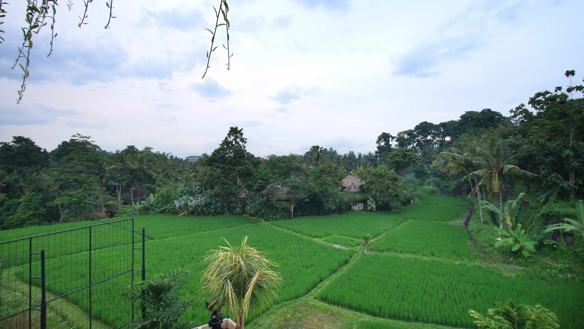 Byasa Ubud 3*,