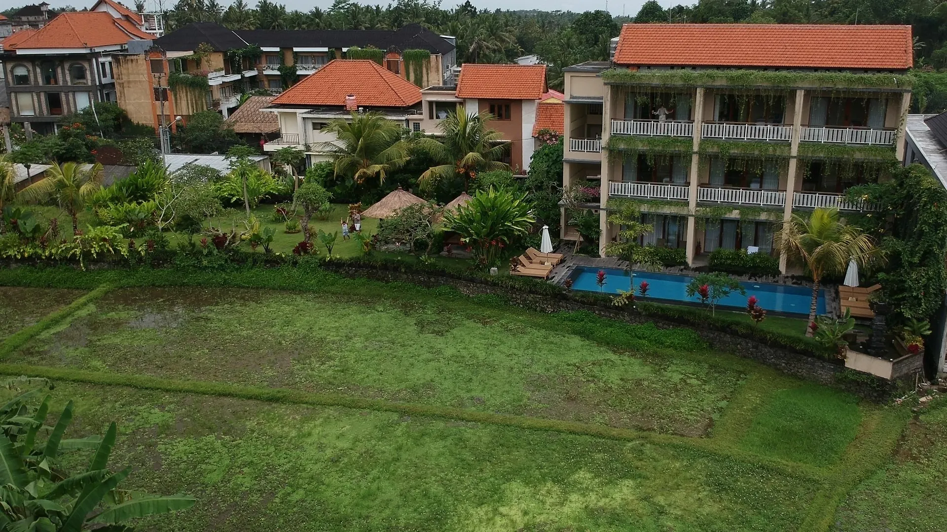 Byasa Ubud