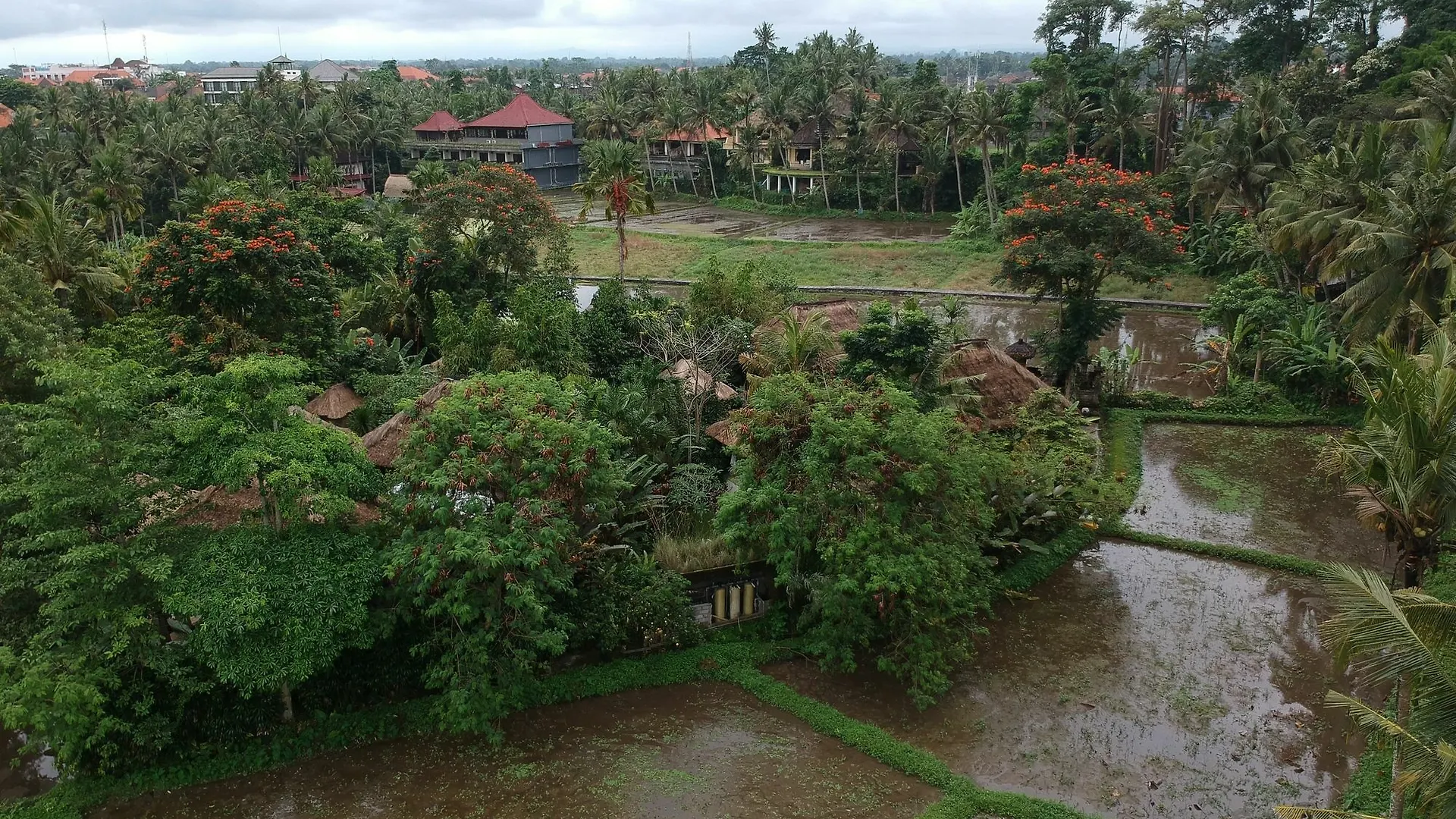 *** Affittacamere Byasa Ubud Indonesia