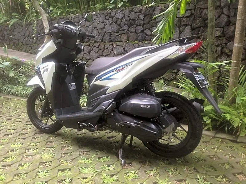 Byasa Ubud