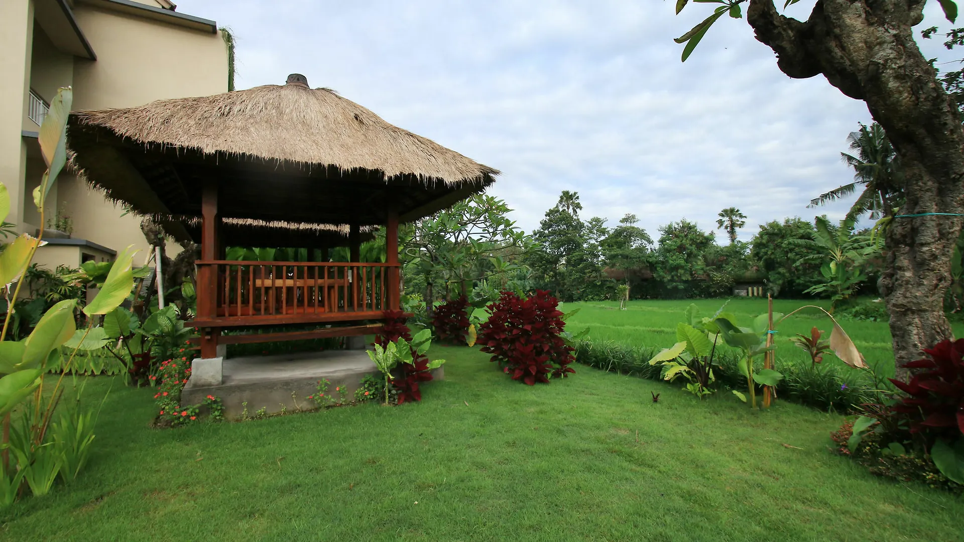 Byasa Ubud 3*, אובוד אינדונזיה