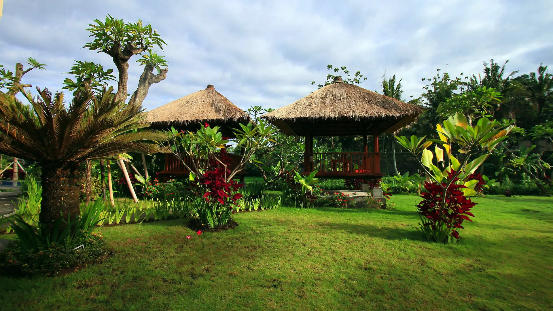 *** בית הארחה Byasa Ubud אינדונזיה