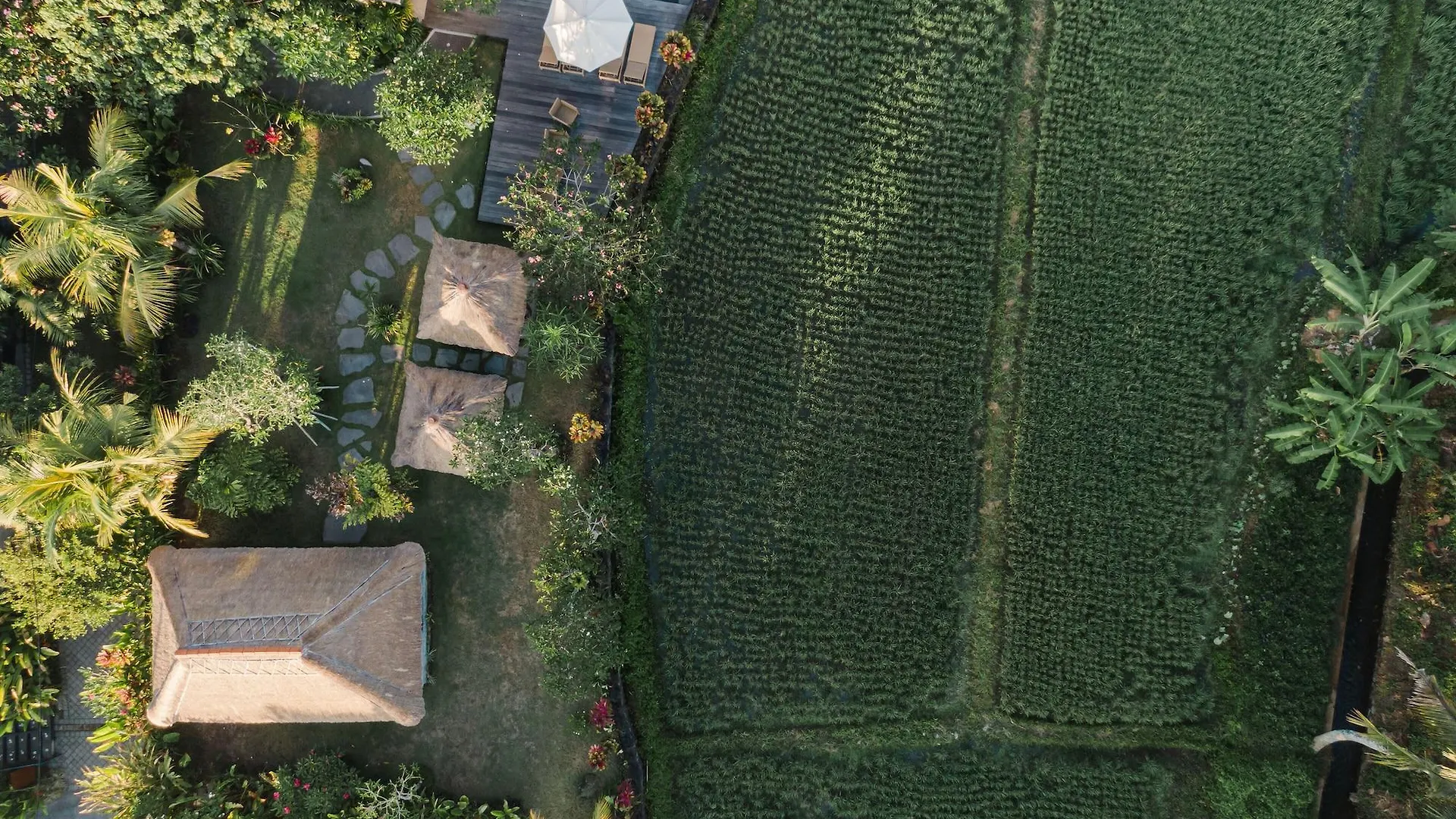 Byasa Ubud Guest house Ubud (Bali)