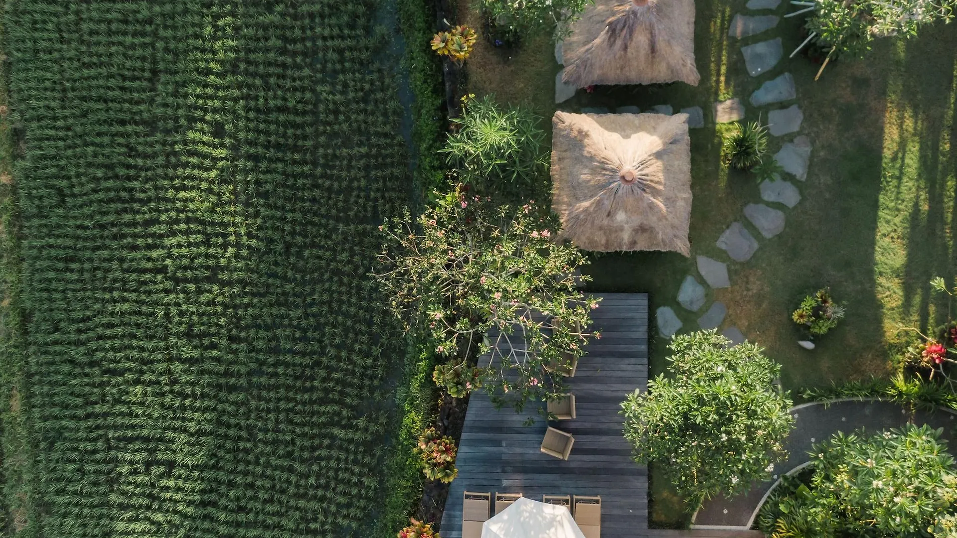 *** Guest house Byasa Ubud Indonesia