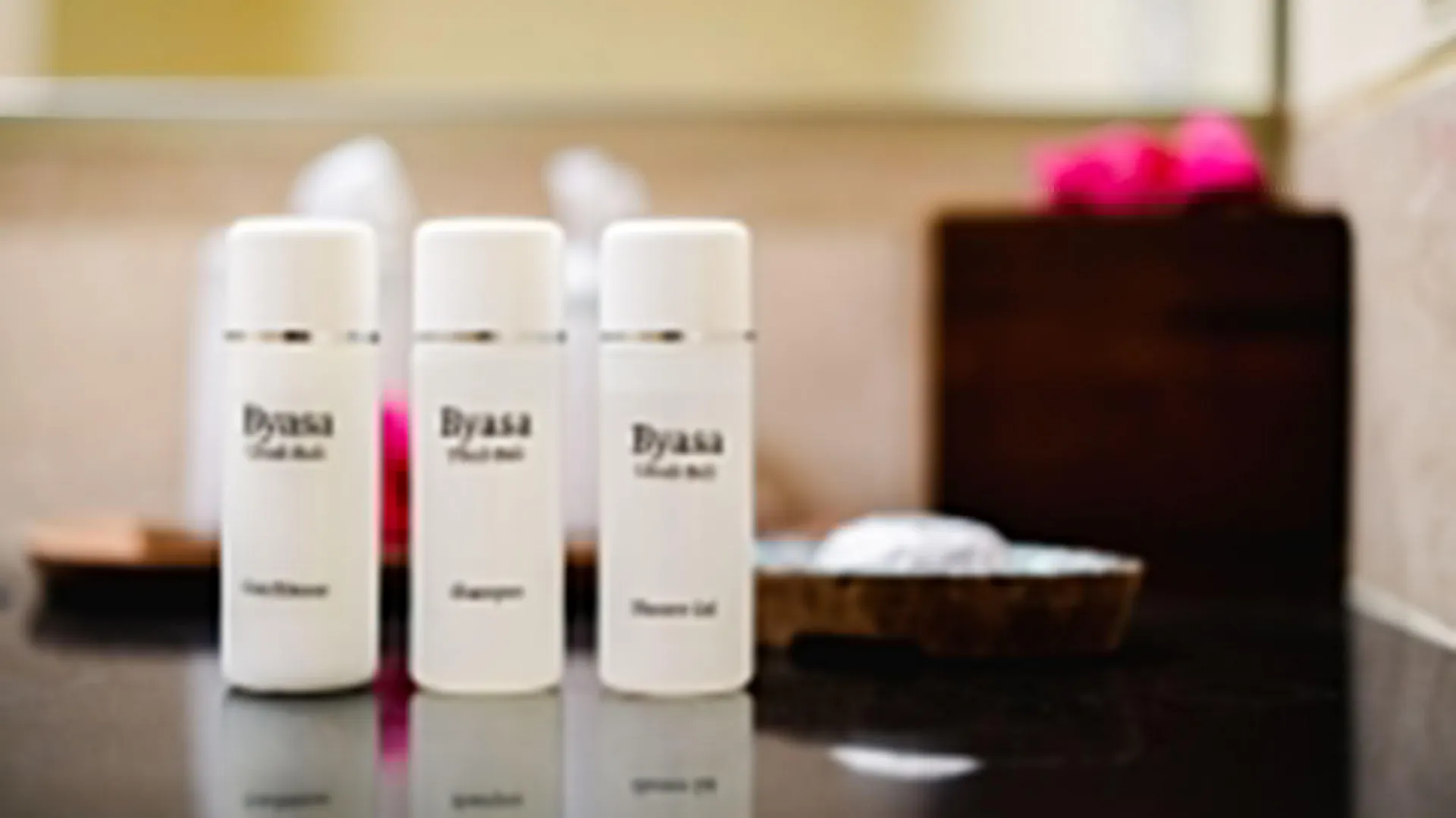 Guest house Byasa Ubud