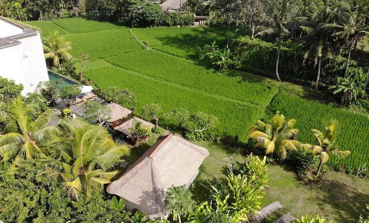Byasa Ubud Guest house Ubud (Bali)