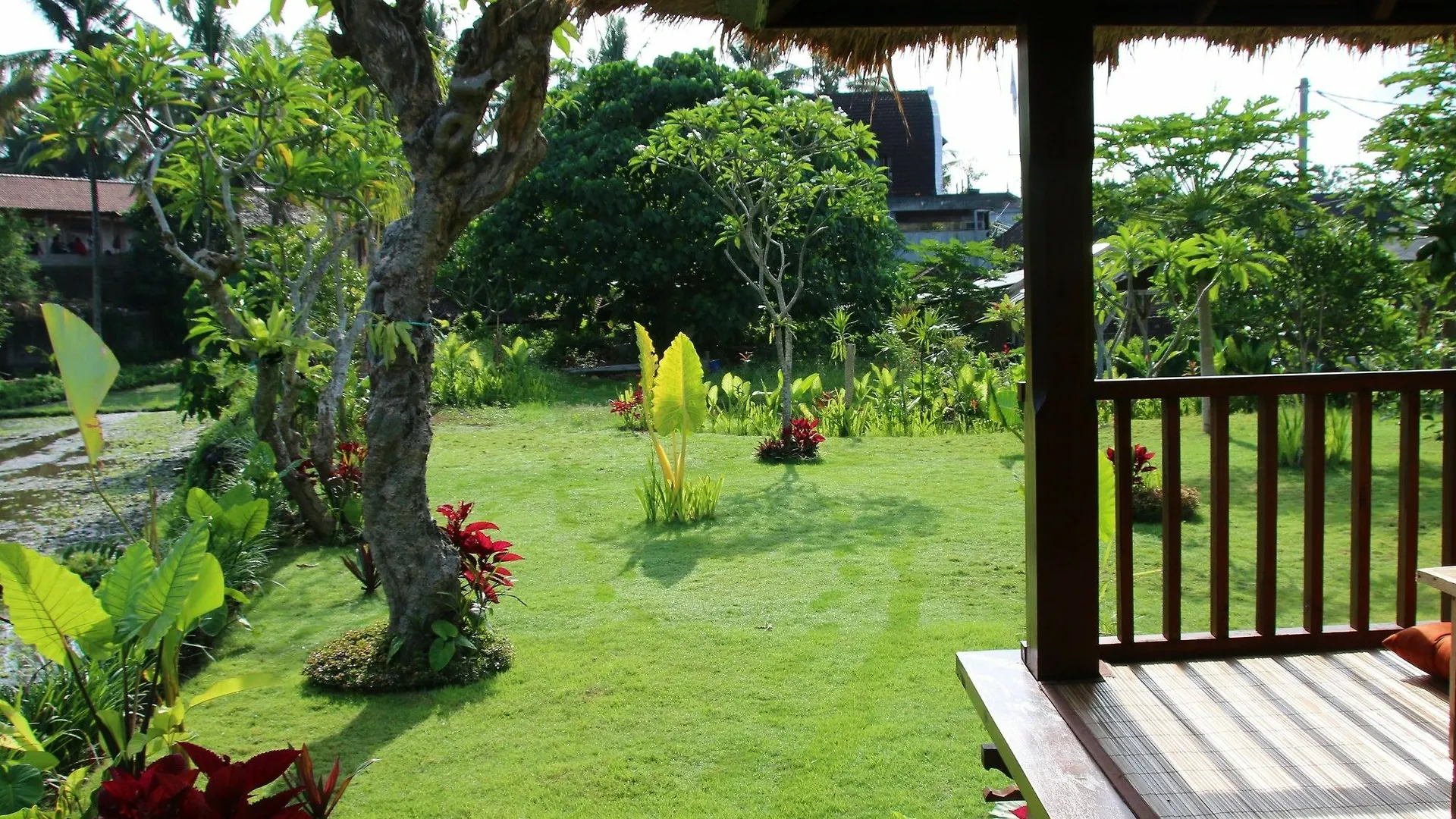 Guest house Byasa Ubud