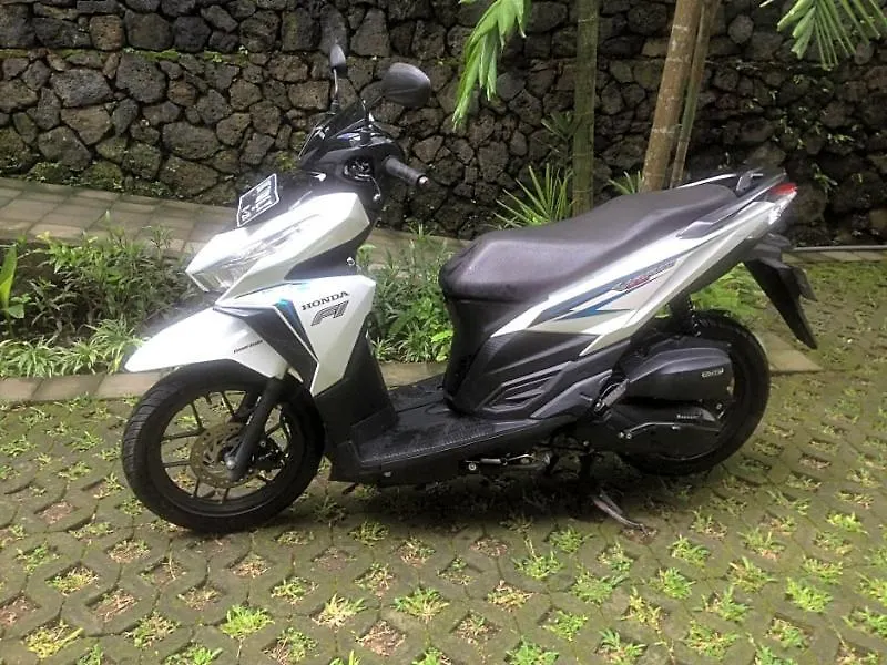 Guest house Byasa Ubud
